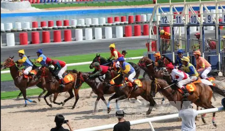 Features and nuances of horse racing betting